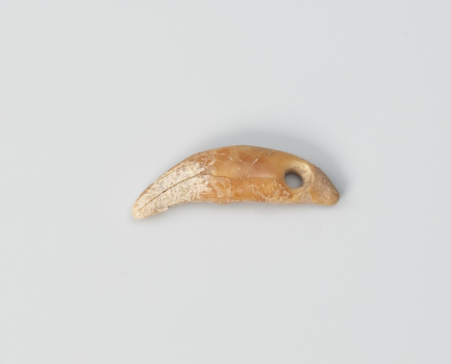 Amulet z zęba zwierzęcego