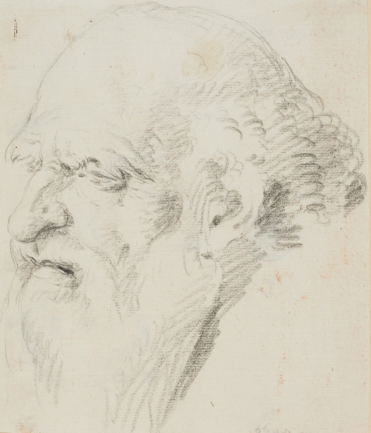 Głowa starego mężczyzny, Tiepolo, Giambattista (1696-1770) (rysownik)